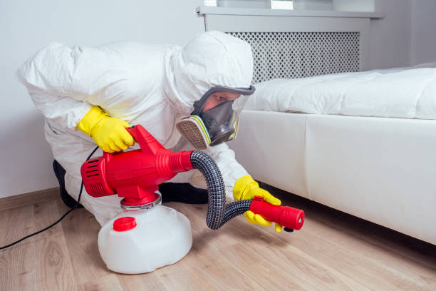 Wildlife Control Services in Bullhead City, AZ