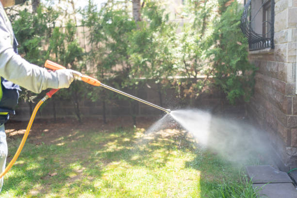 Best Flea Control Services  in Bullhead City, AZ