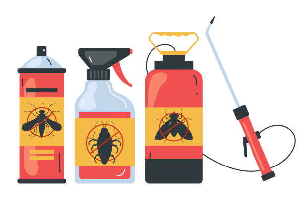 Best Affordable Pest Control Services  in Bullhead City, AZ