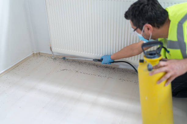 Best Best Pest Control Companies  in Bullhead City, AZ